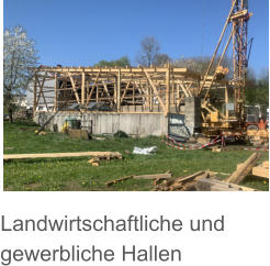 Landwirtschaftliche und gewerbliche Hallen